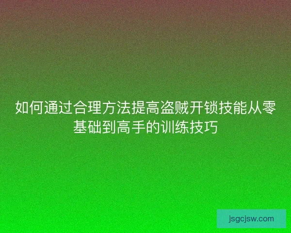 如何通过合理方法提高盗贼开锁技能从零基础到高手的训练技巧
